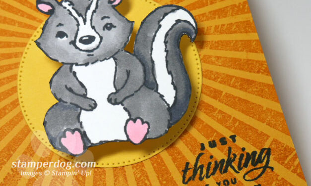 Little Stinker Card