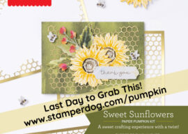 Love Sunflowers?
