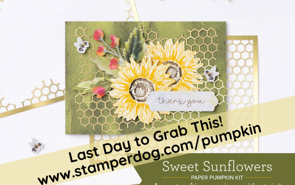 Love Sunflowers?