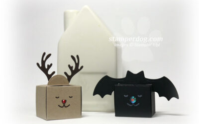 Seasonal Animal Treat Boxes