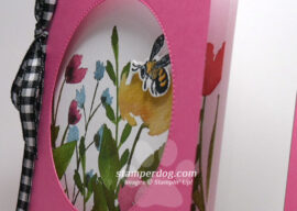 Card Within a Card