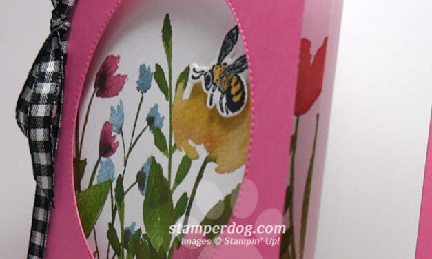 Card Within a Card