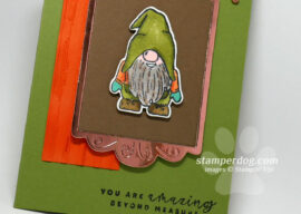 Rules for Dressing a Gnome