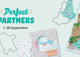Looking for a Partner?