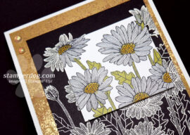 Easy & Elegant Spotlight Card