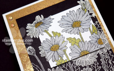 Easy & Elegant Spotlight Card