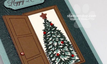 How to Use the Stamparatus for Christmas Cards