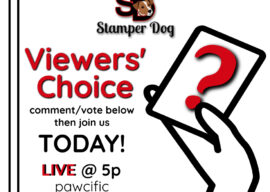 Join Us for a Viewers’ Choice Today!