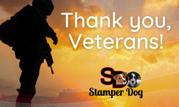 Thank You, Vets!