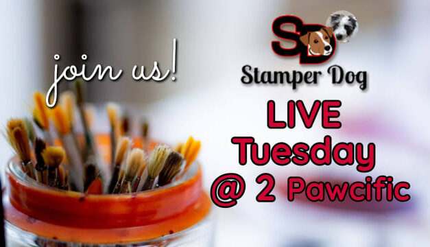 Join Us Tomorrow at 2pm Pawcific
