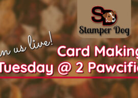 Join Us Today at 2pm Pawcific