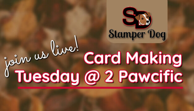Join Us Today at 2pm Pawcific