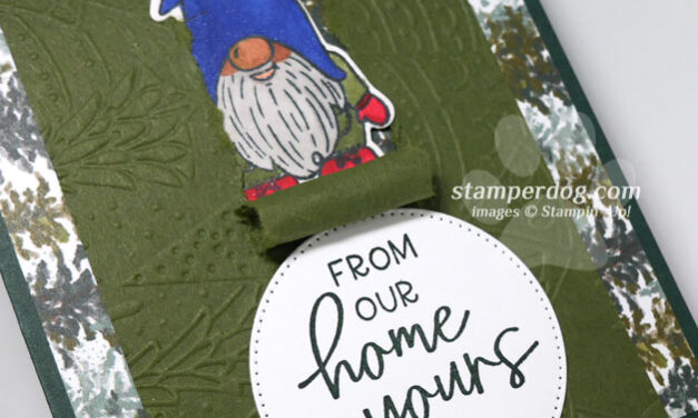 Ripped Panel Gnome Card