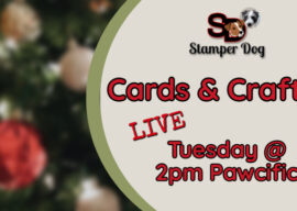 Join Us Live Today