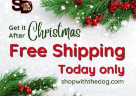 Today Only!