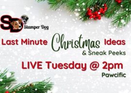 Last Minute Christmas Gift Ideas