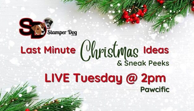 Last Minute Christmas Gift Ideas