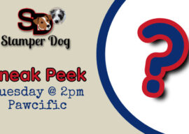 Sneak Peek Live at 2pm Today!