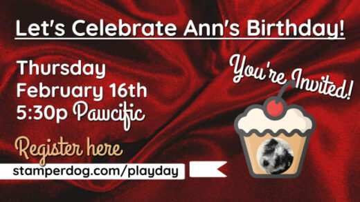 Ann's Birthday Play Day