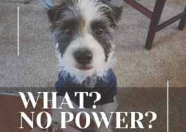 When the Lights Go Out