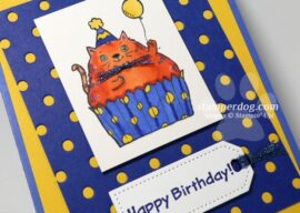 Who Needs a Cat Birthday Card?