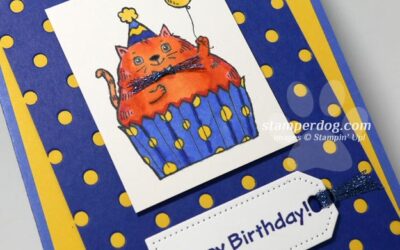 Who Needs a Cat Birthday Card?