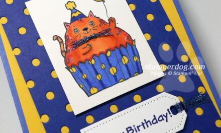 Who Needs a Cat Birthday Card?