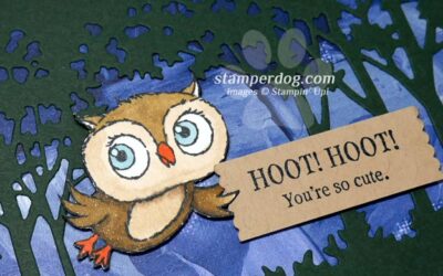 Adorable Owl in the Forest