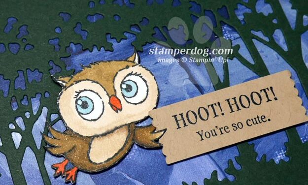 Adorable Owl in the Forest