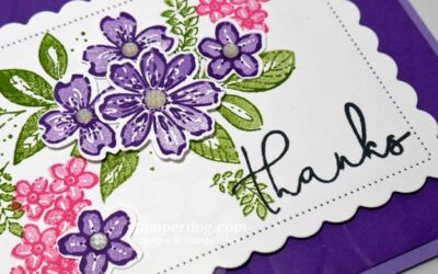 Thank You for New Stamps