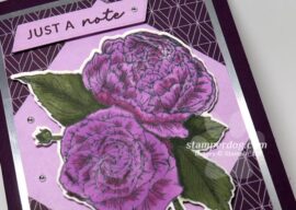 Framed Corners Card