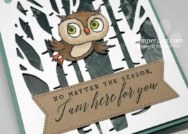 Encouraging Owl Card