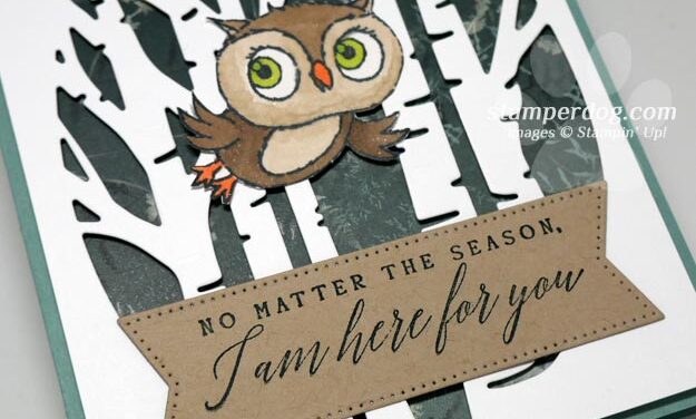 Encouraging Owl Card