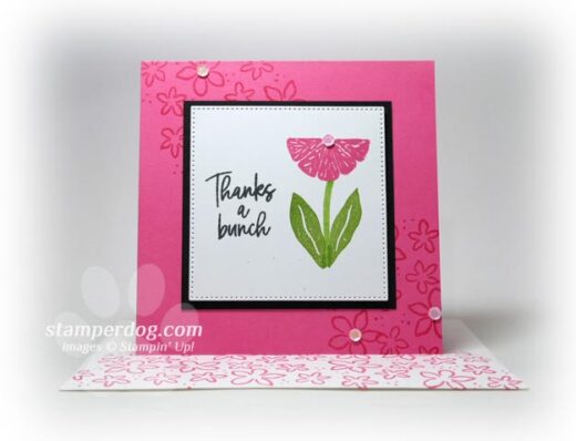 Little Pink Square Card
