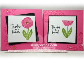 Little Pink Square Cards