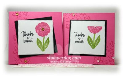 Little Pink Square Cards