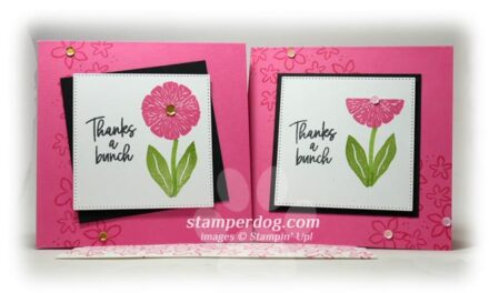 Little Pink Square Cards