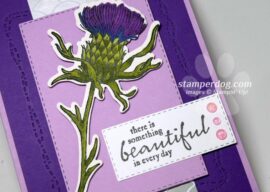 Beautiful Purple Thistle Card
