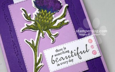 Beautiful Purple Thistle Card