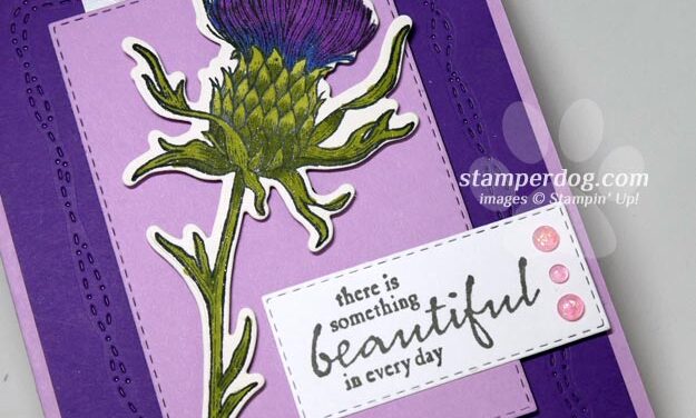 Beautiful Purple Thistle Card