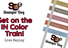 Check Out the New Color Comparisons