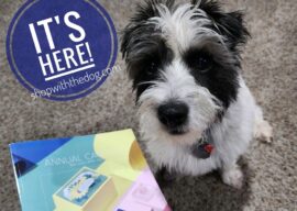 Let the New Catalog Events Begin!