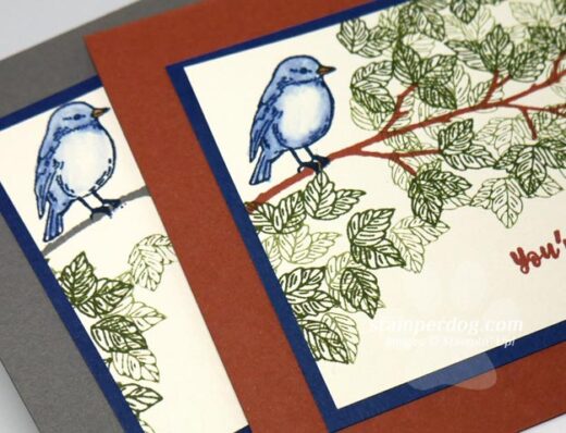 2 Scenic Bird Cards