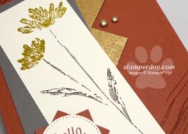 Playing With Some New Stampin’ Up! Colors