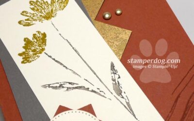 Playing With Some New Stampin’ Up! Colors
