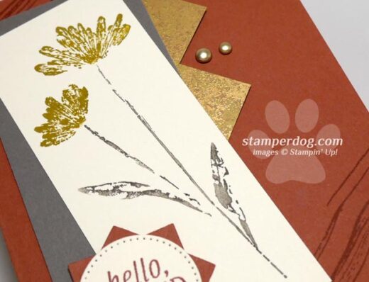 New Stampin' Up! Colors
