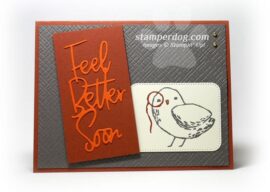 A Bird’s Eye Get Well Card