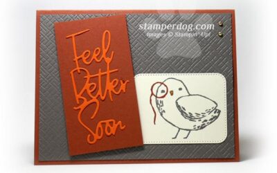A Bird’s Eye Get Well Card