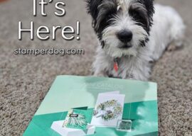 Stampin’ Up! Holiday Catalog Sneak Peek