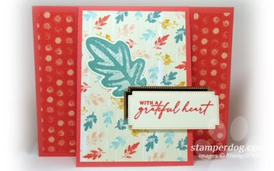 New Craft Supplies and New Stamps
